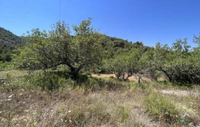 Terreno rural · Revente · Borriol · Urbanizacion vall d umbri