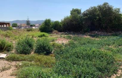 Terreno rural - Revente - Peñiscola - Avenida papa luna
