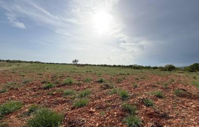 Terreno rural - Sale - Benlloch - Comunidad valenciana