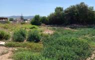 Terreno rural - Sale - Peñiscola - CCRE-0170