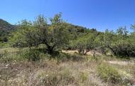 Terreno rural - Segunda mano - Borriol - AURE-30361