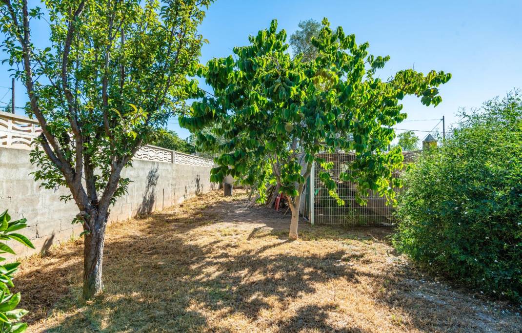 Segunda mano · Villa · Castellon - Castello de la Plana · Partida entrilles
