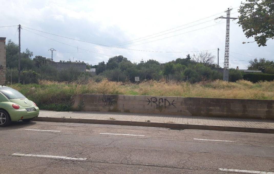 Segunda mano · Parcela · Benicarlo · Zona Pueblo