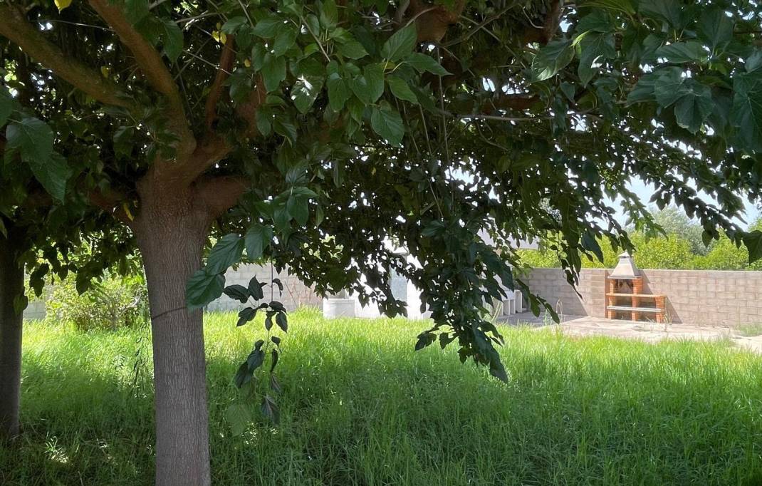 Resale · Villa · Castellon - Castello de la Plana · MARJALERIA