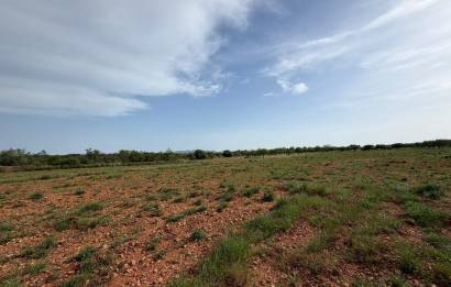 Segunda mano · Terreno rural · Benlloch · Comunidad valenciana