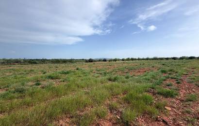 Segunda mano · Terreno rural · Benlloch · Comunidad valenciana