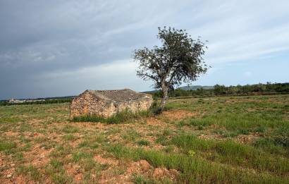Segunda mano · Terreno rural · Benlloch · Comunidad valenciana