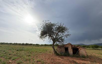 Segunda mano · Terreno rural · Benlloch · Comunidad valenciana