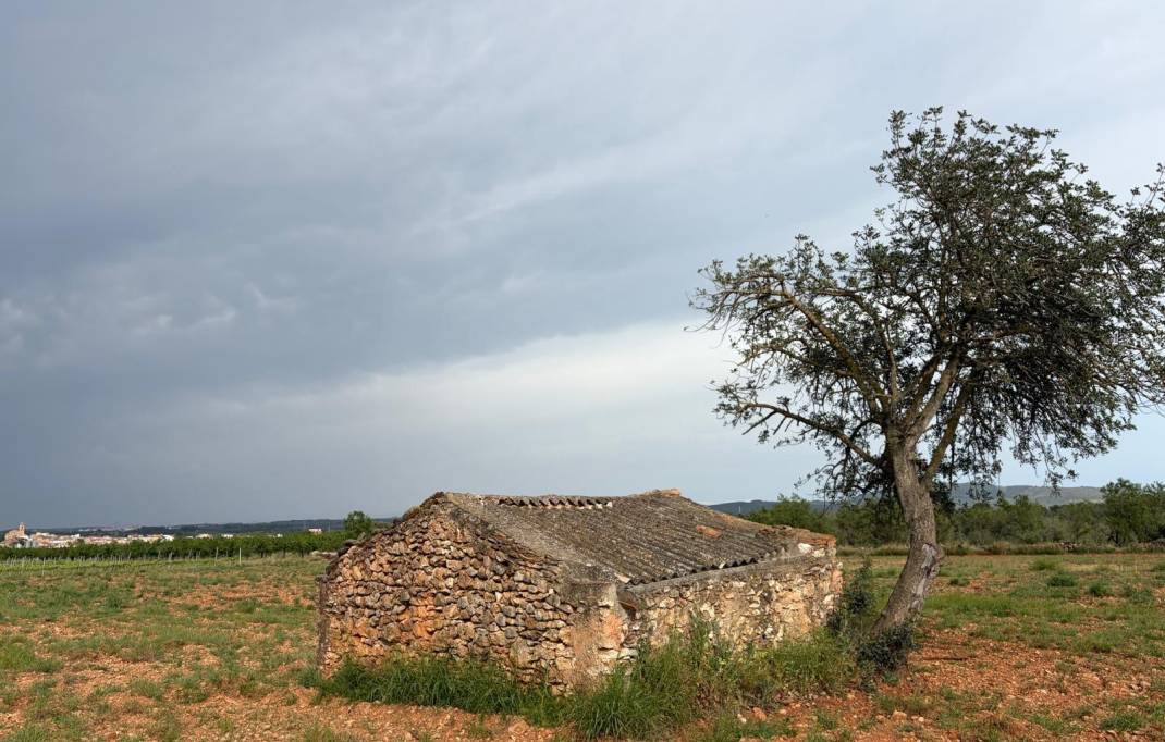 Segunda mano · Terreno rural · Benlloch · Comunidad valenciana