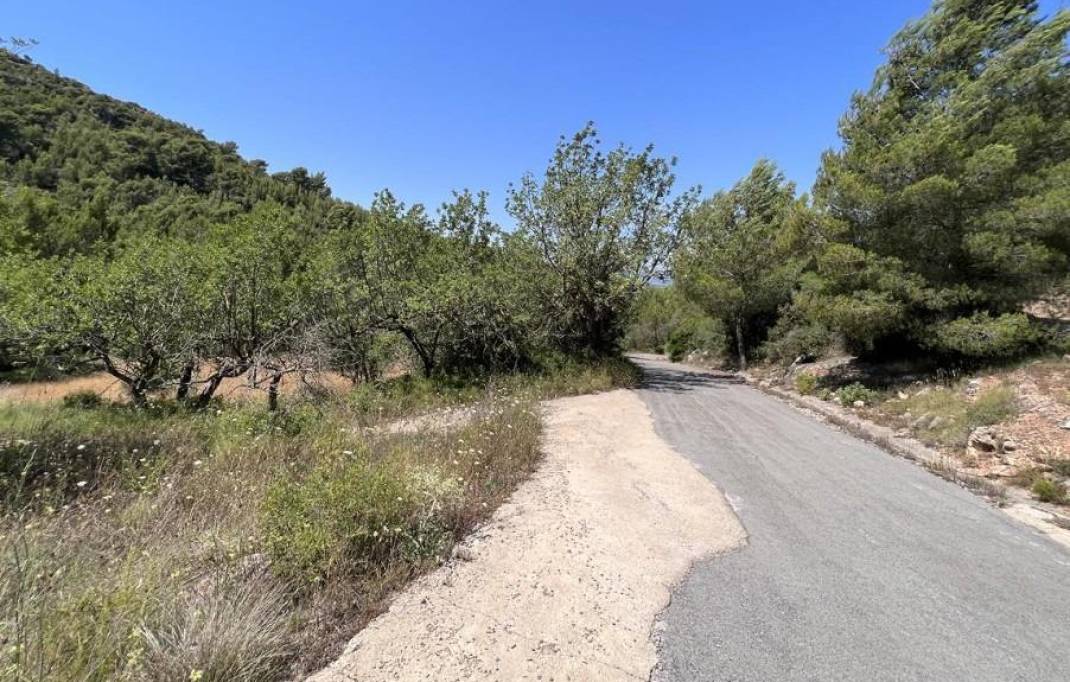 Revente · Terreno rural · Borriol · Urbanizacion vall d umbri