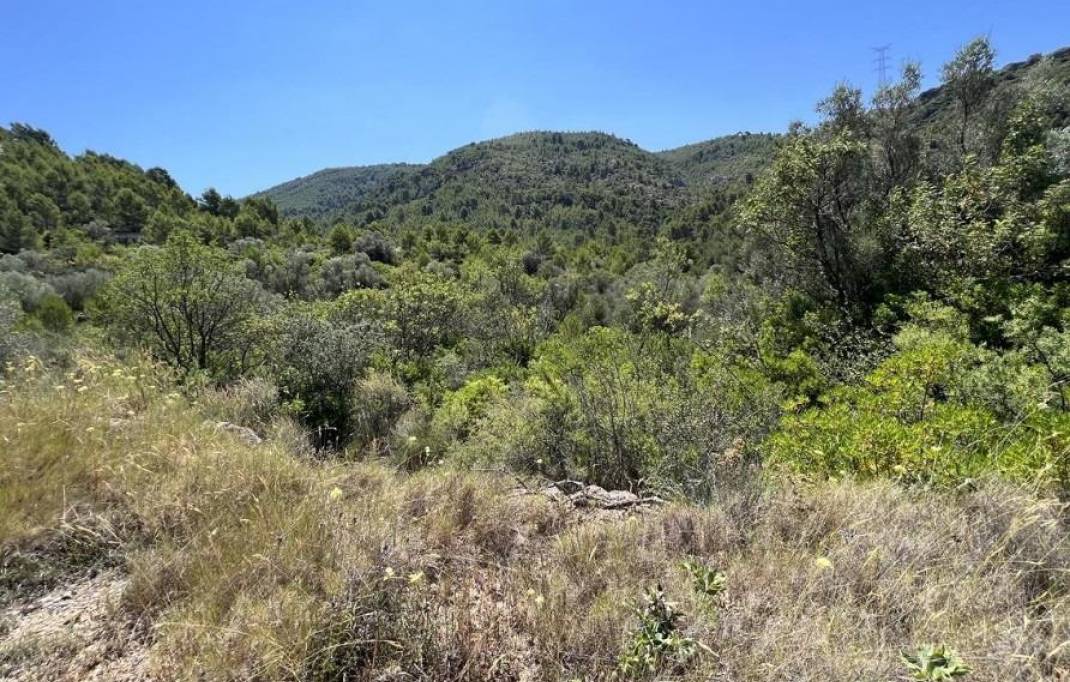 Revente · Terreno rural · Borriol · Urbanizacion vall d umbri