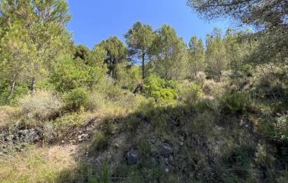 Revente · Terreno rural · Borriol · Urbanizacion vall d umbri