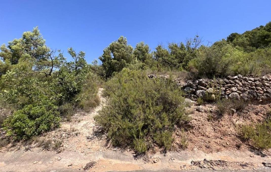 Revente · Terreno rural · Borriol · Urbanizacion vall d umbri