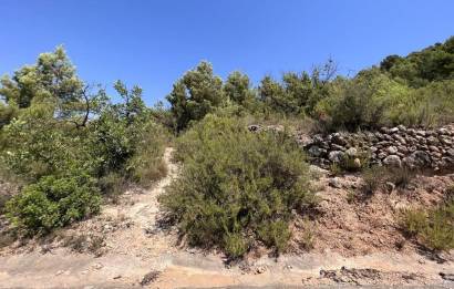Revente · Terreno rural · Borriol · Urbanizacion vall d umbri