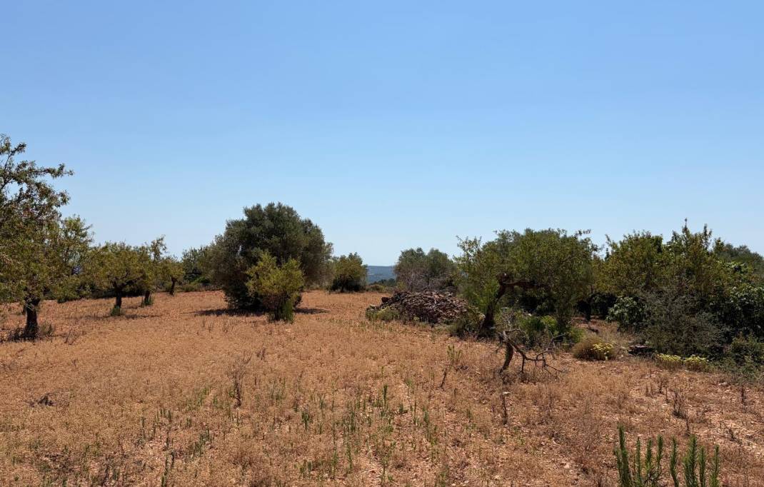 Segunda mano · Terreno rural · Sierra Engarceran · Comunidad valenciana