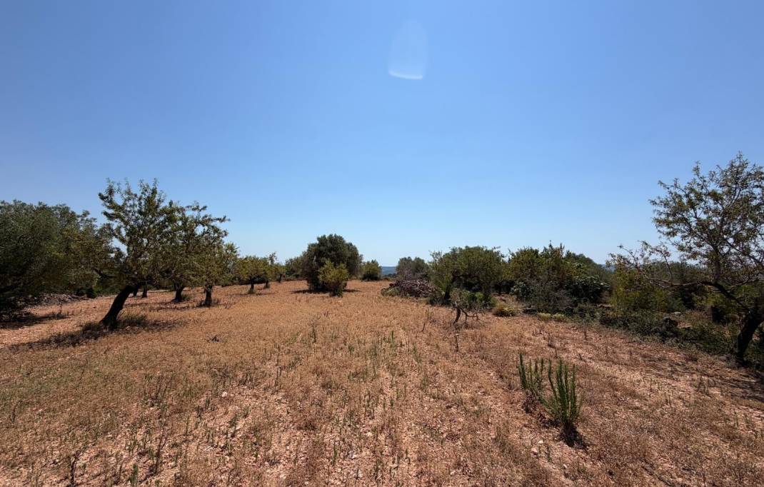 Segunda mano · Terreno rural · Sierra Engarceran · Comunidad valenciana