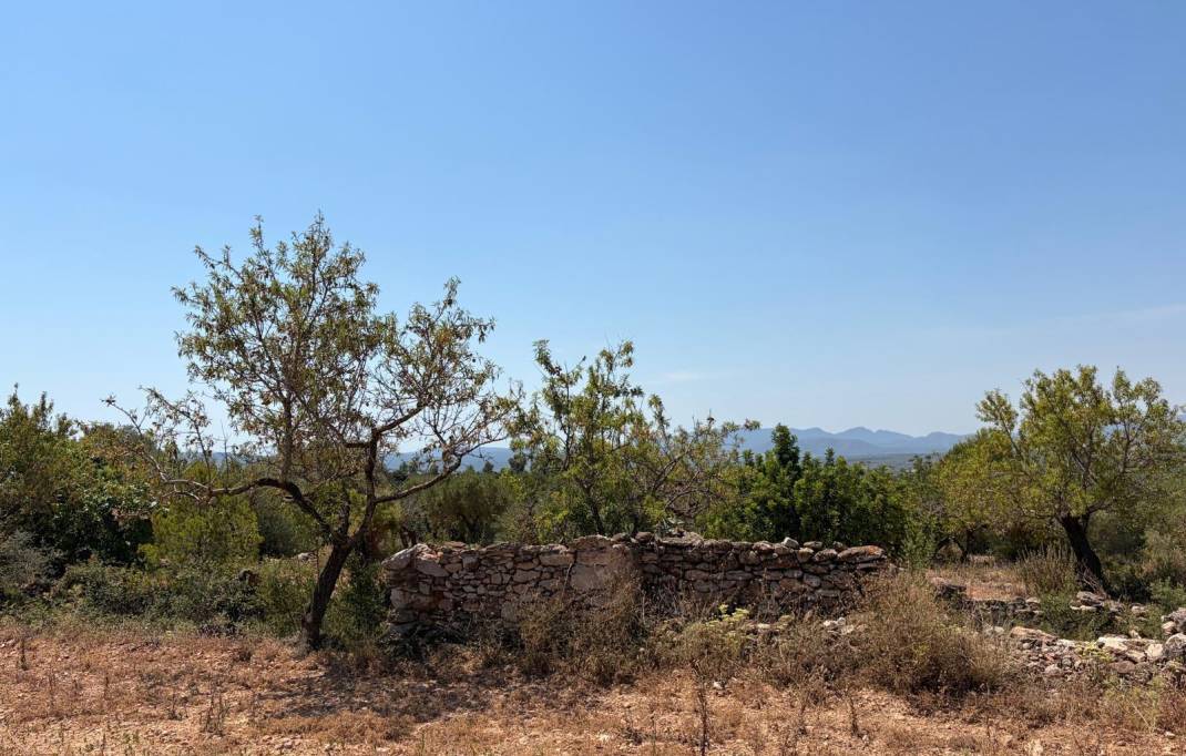 Segunda mano · Terreno rural · Sierra Engarceran · Comunidad valenciana