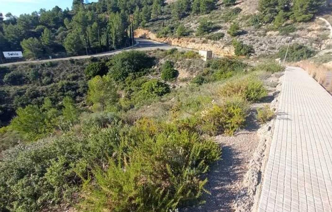 Segunda mano · Terreno urbanizable · l'Alcora · Alcora (l )