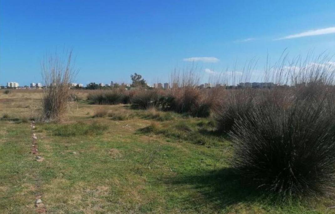 Segunda mano · Terreno rural · Benicassim · Torreón