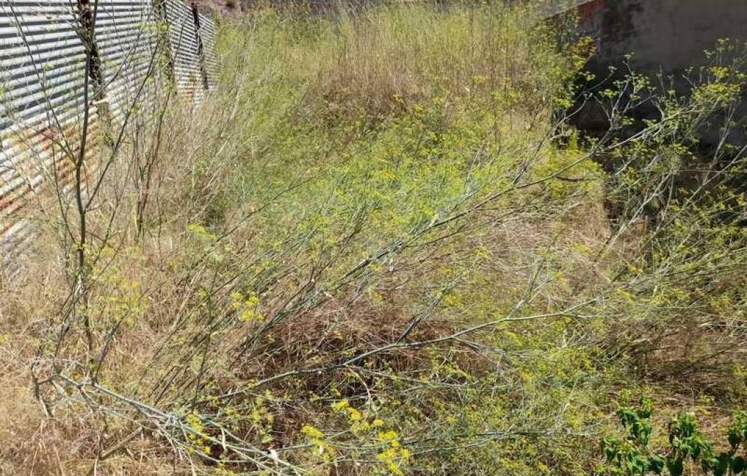 Segunda mano · Terreno urbano · Almenara · Almenara  Zona de - Almenara