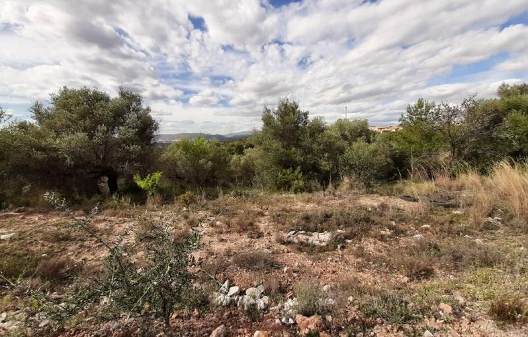 Revente · Terreno urbanizable · Sant Joan de Moro · San Juan de Moro