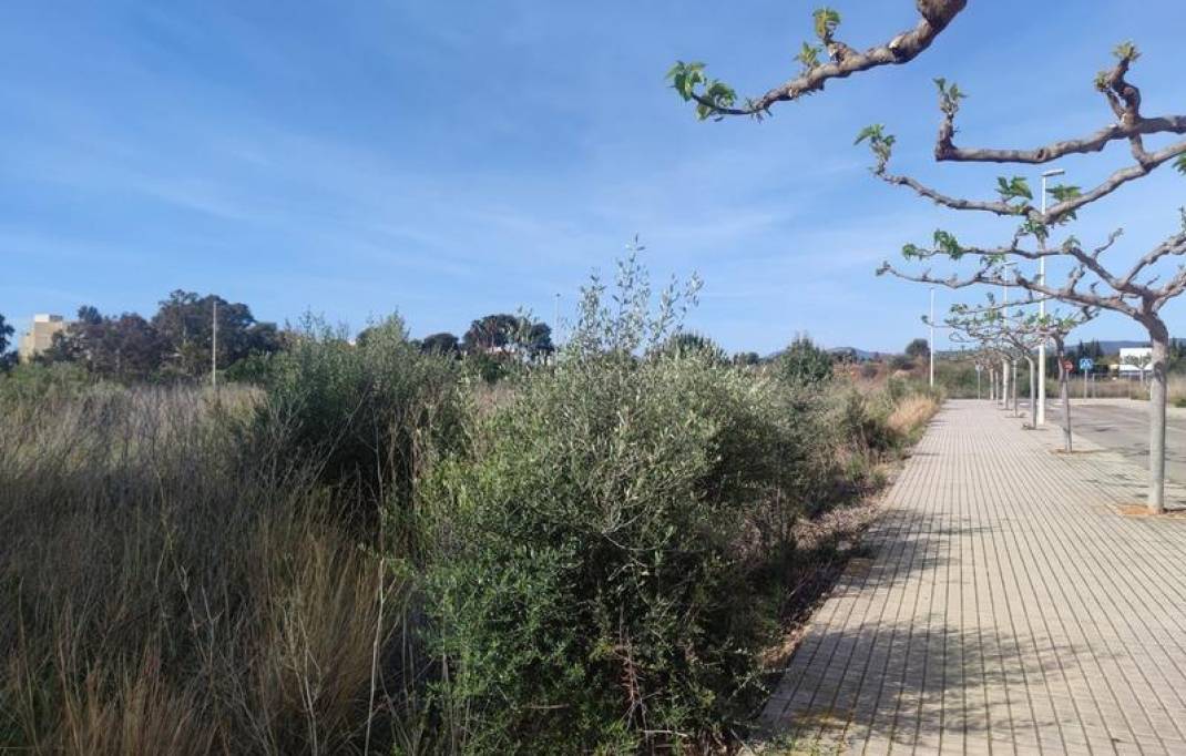 Segunda mano · Terreno urbano · Torreblanca · PLAYA TORRENOSTRA