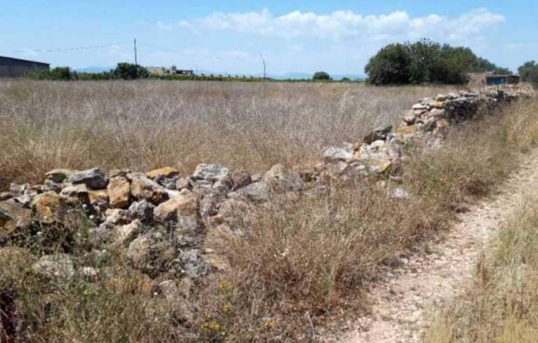 Segunda mano · Terreno rural · Castellon - Castello de la Plana · Ciutat del Transport-La Salera