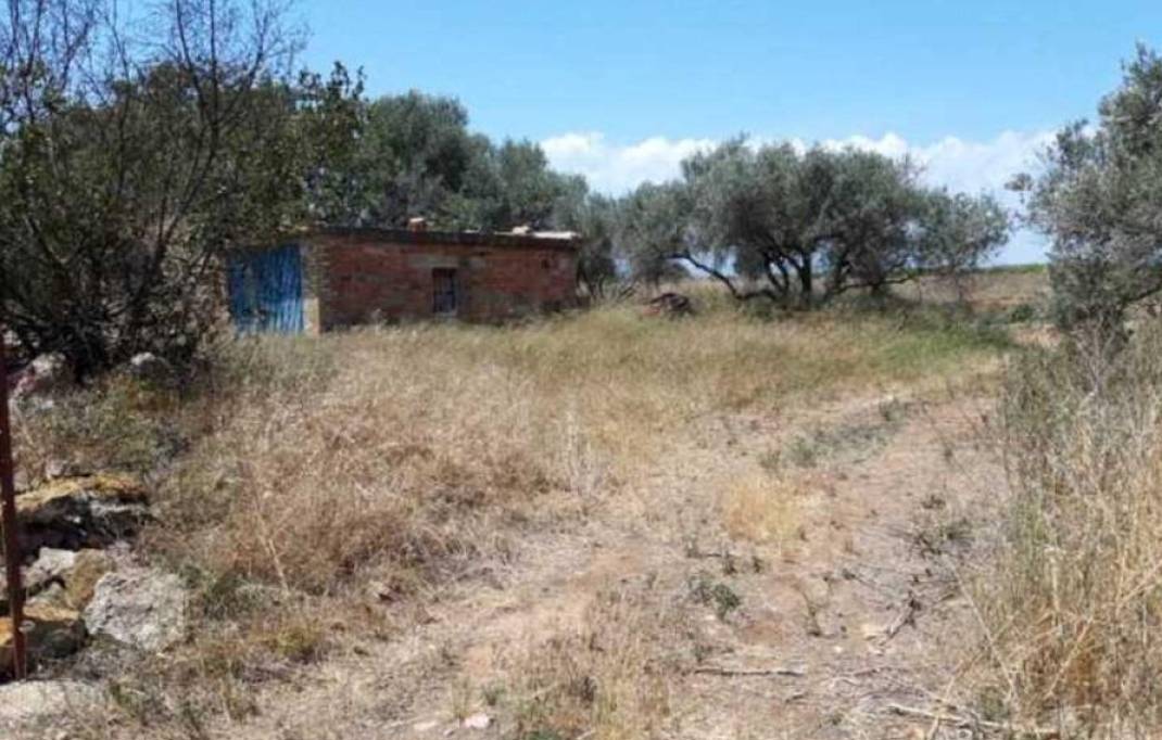 Segunda mano · Terreno rural · Castellon - Castello de la Plana · Ciutat del Transport-La Salera