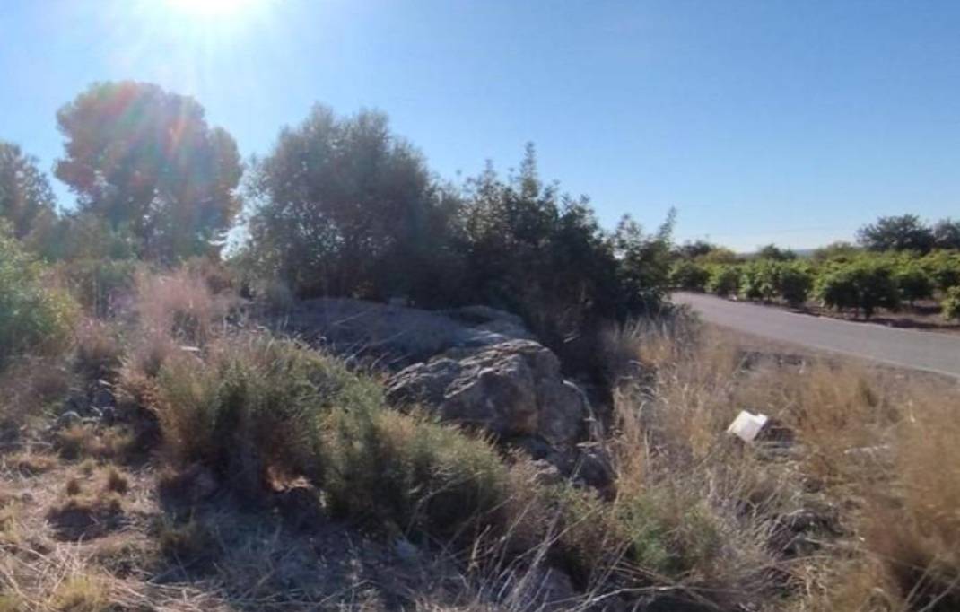 Segunda mano · Terreno rural · Almenara