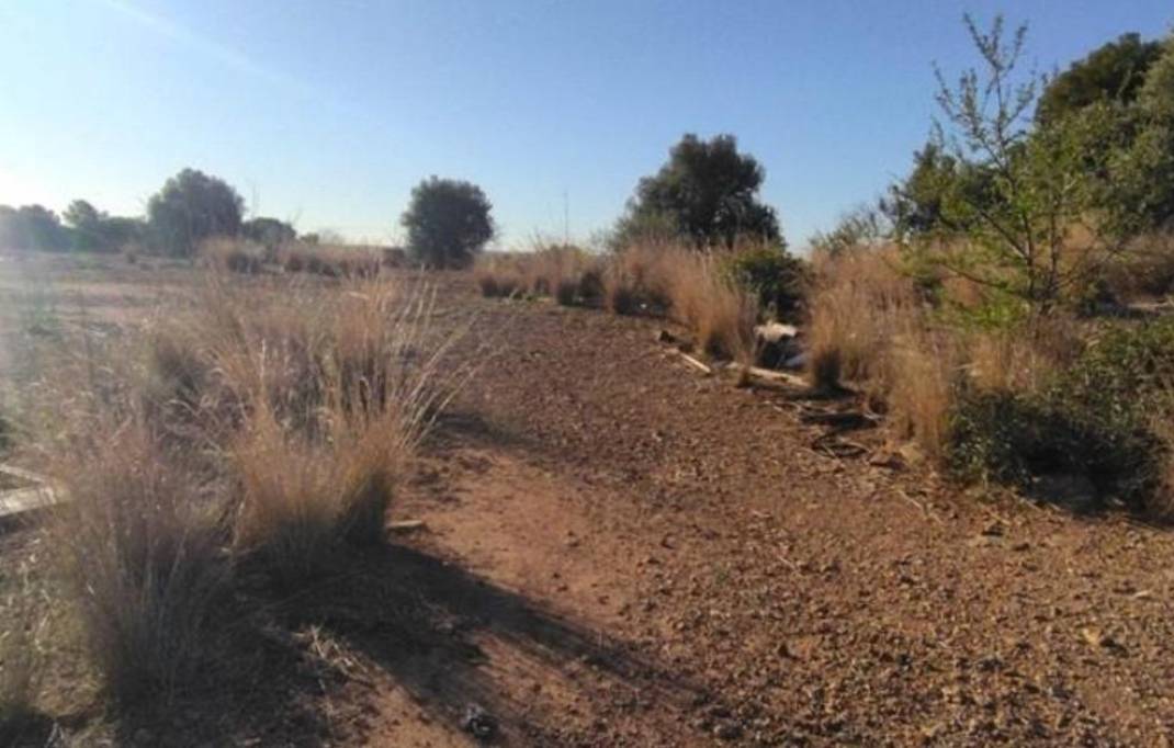 Segunda mano · Terreno rural · Almenara